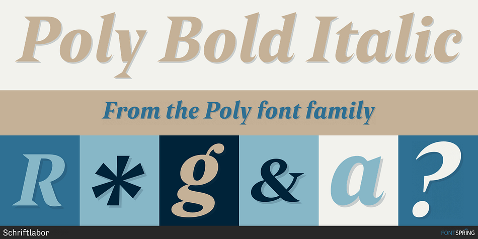 Poly Bold Italic Font