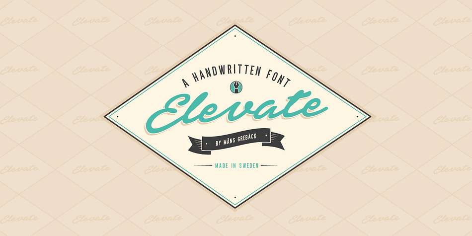 Elevate is a bold, high-quality handwriting font, perfect for logos and headlines.