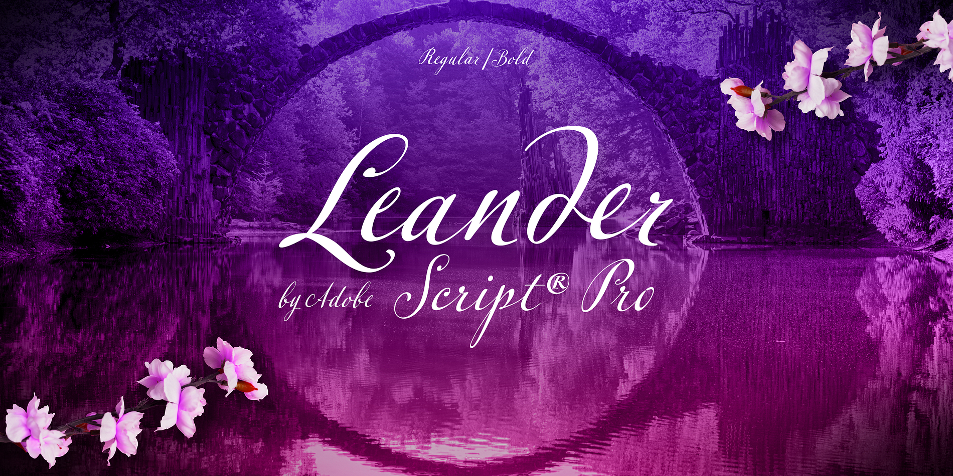 Leander Script® Pro