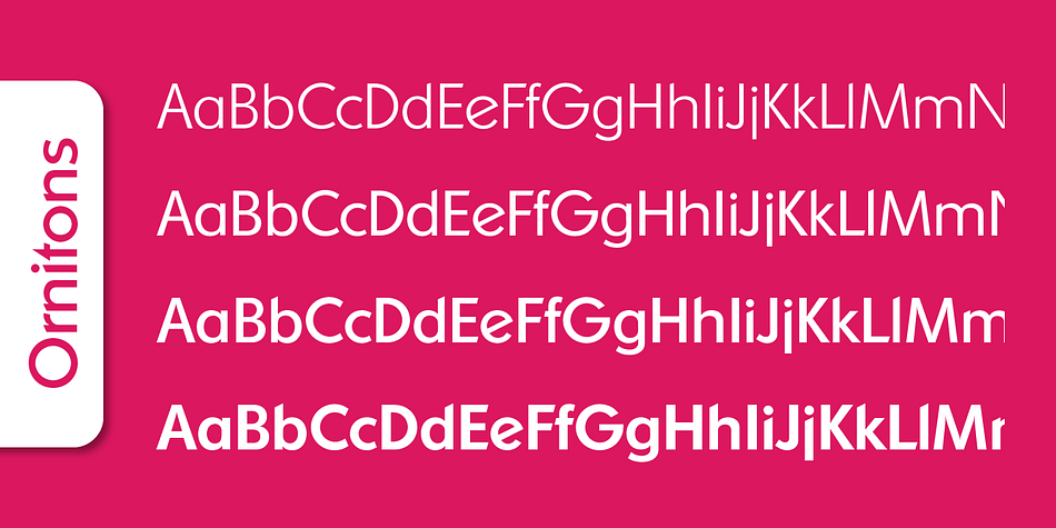 Emphasizing the favorited Ornitons Serial font family.