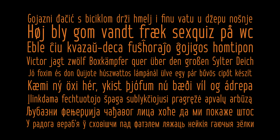 Hinton includes all European and Slavic alphabets, in addition to basic Latin and Russian there are German, Dutch, Spain, French, Romanian, Turkish, Czech, Polish, Croatian, Serbian, Ukrainian, Belorussian, Baltic, Scandinavian, Icelandic and other alphabets.