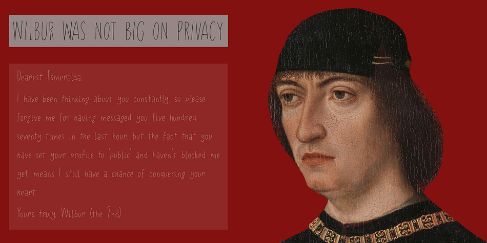 Privacy Filter Font