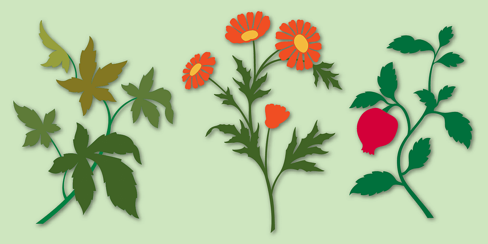 Displaying the beauty and characteristics of the Plant Assortment font family.