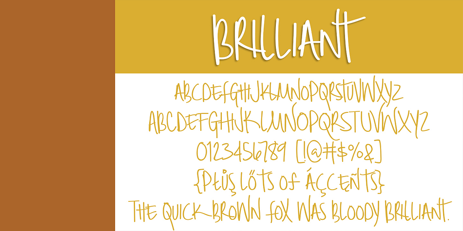 Displaying the beauty and characteristics of the BMD Brilliant font family.