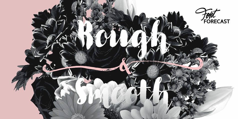 The main styles Rough and Smooth are extremely sturdy and bold brush fonts.