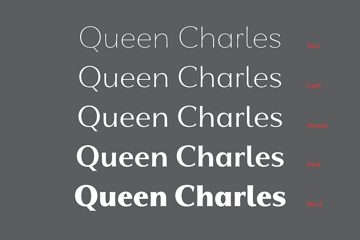 Qwincey FY is a a five font family.