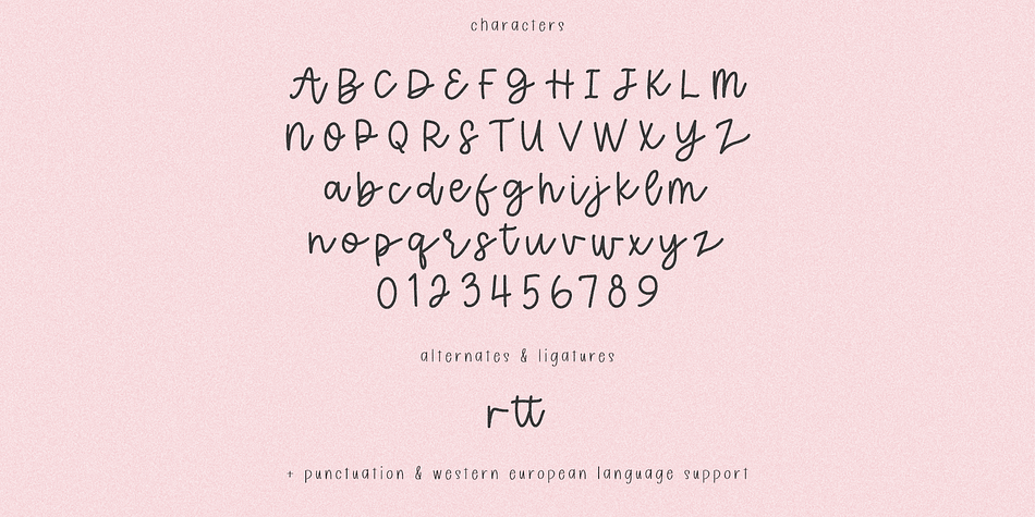 Wildflower Honey Script Font