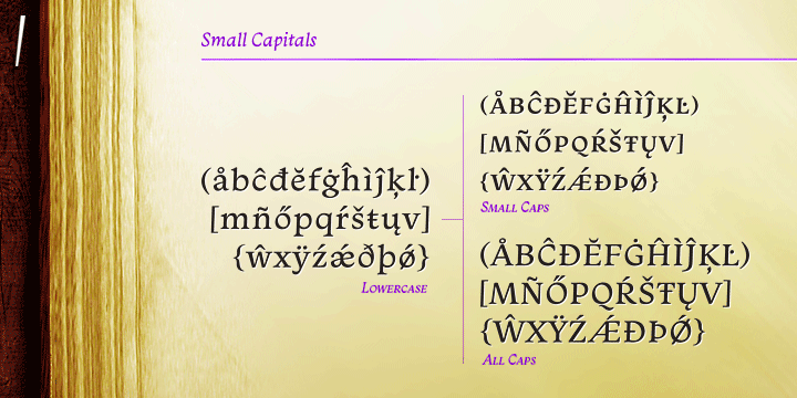 The family consists of 8 styles, 4 weights - Book, Regular, SemiBold and Bold - plus their respective italic versions.