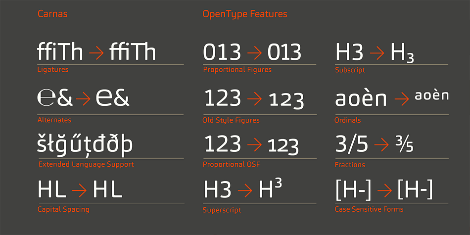 Displaying the beauty and characteristics of the Carnas font family.