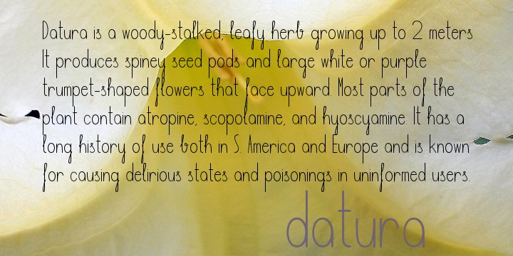 Because it is dynamic, elegant, and easily read in all sizes, Datura provides a high range of uses.