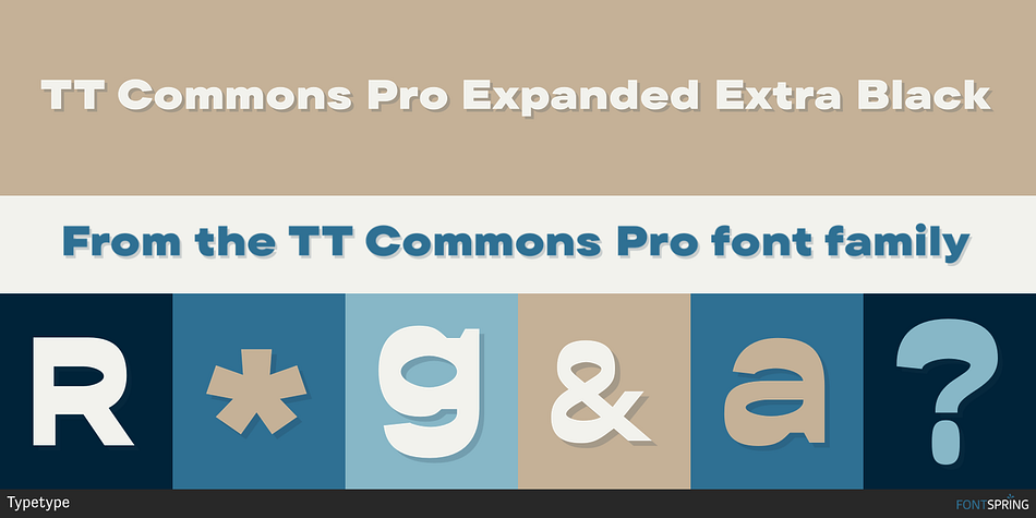 TT Commons Pro Expanded Extra Black Font