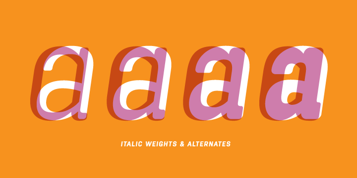 Displaying the beauty and characteristics of the Antartida Rounded font family.