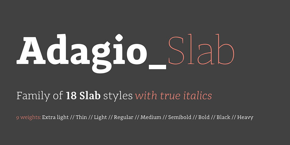 The Adagio Family is a part of Mateusz Machalski’s, Warsaw Academy of fine arts Master Degree Diploma in multimedia studio, conducted by Professor Stanisław Wieczorek and his brave PhD student Jakub Wróblewski.