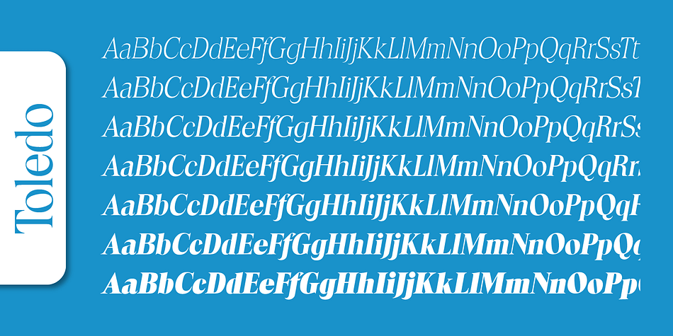 Emphasizing the popular Toledo Serial font family.