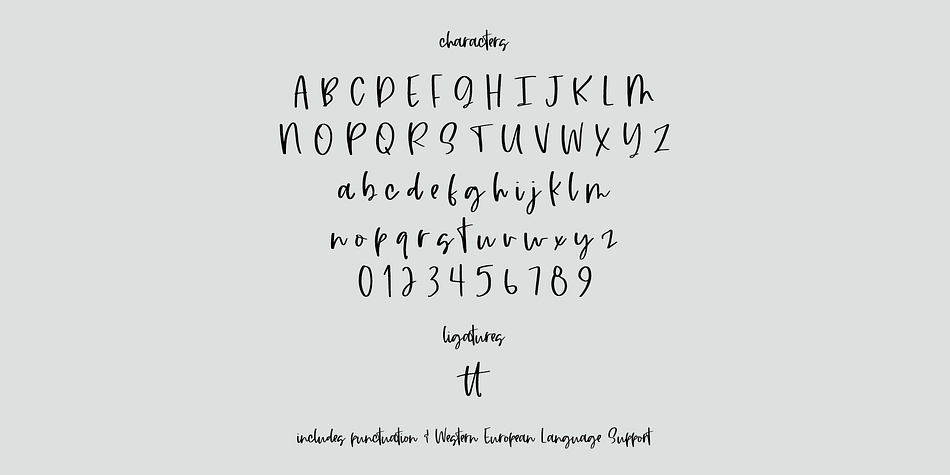 Chaotic Script Font