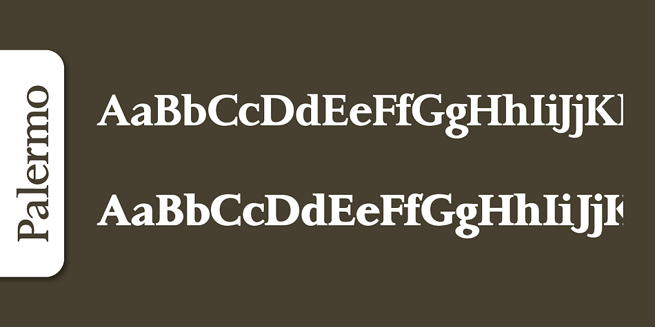 Emphasizing the popular Palermo Serial font family.