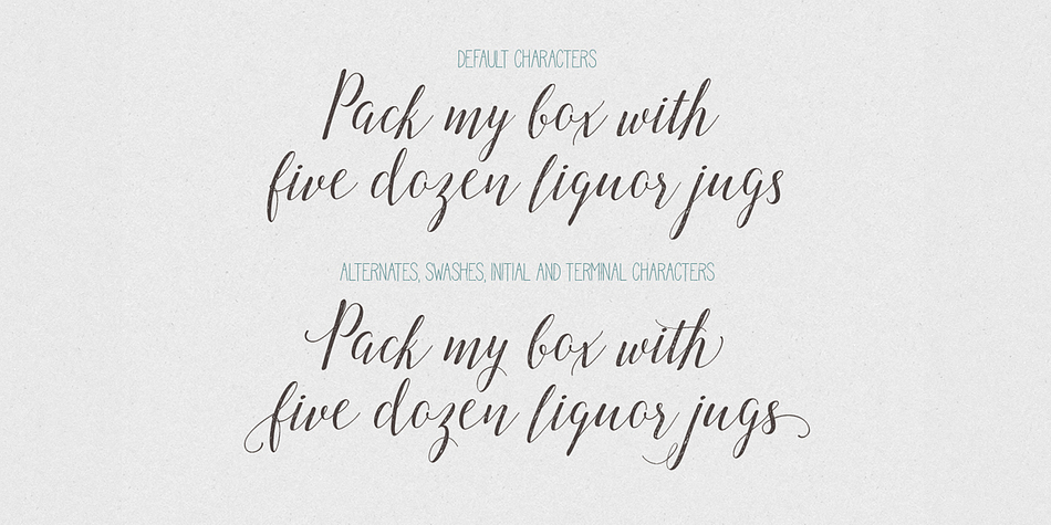 It is offered in 2 styles: regular and slant, and contains 642 glyphs with standard ligatures, stylistic alternates, swashes, 2 styles of initial and terminal letters.