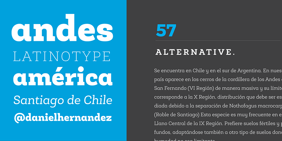 Emphasizing the popular Roble Alt font family.
