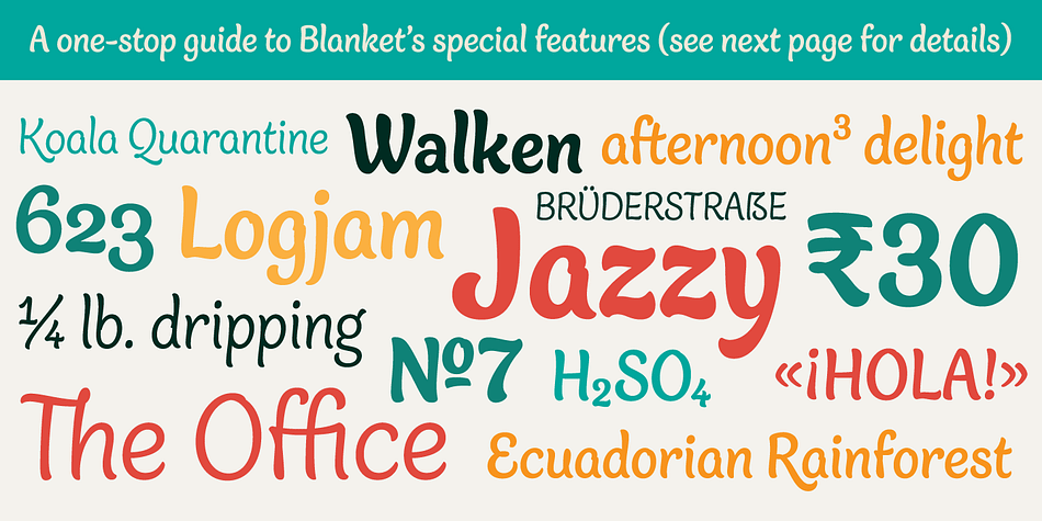 Typographically sophisticated, it features a wealth of figure styles, automatic fractions, ligatures, alternates, case sensitive forms and a small spattering of swashes.