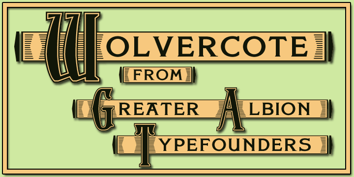 Displaying the beauty and characteristics of the Wolvercote font family.