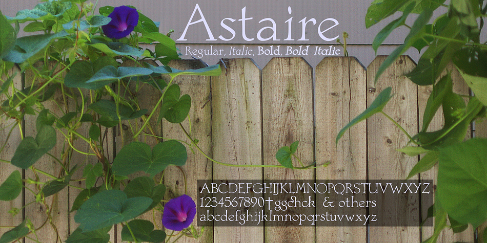 Displaying the beauty and characteristics of the Astaire Pro font family.
