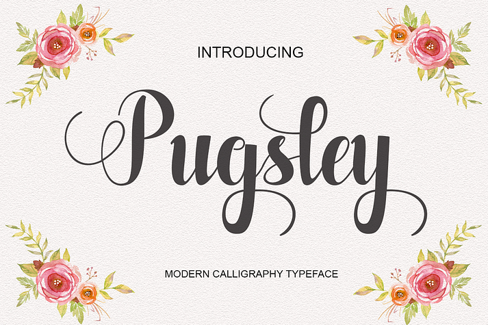 Pugsley Modern Calligraphy.