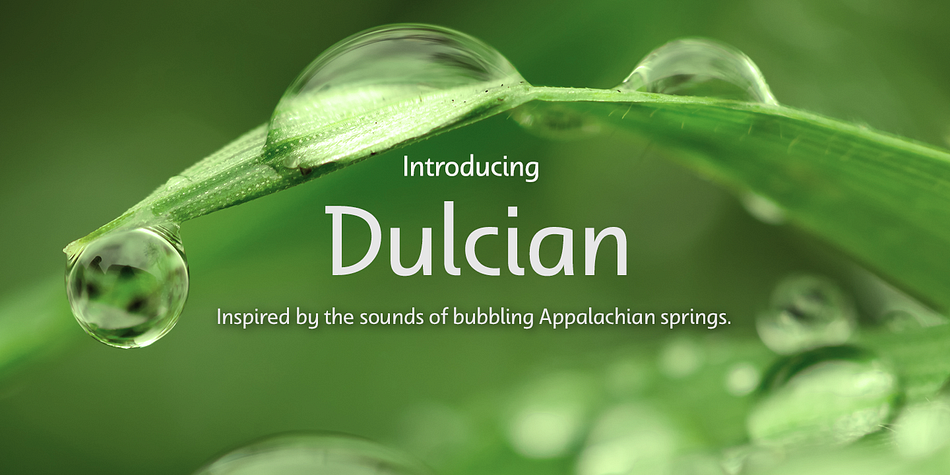 Dulcian is an excellent choice for websites as well as flyers and packaging.