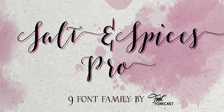 Salt & Spices Pro is a welcome addition to the ever popular modern calligraphy genre.