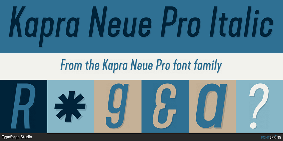 Kapra Neue Pro Italic Font