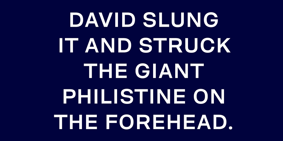 Displaying the beauty and characteristics of the David font family.