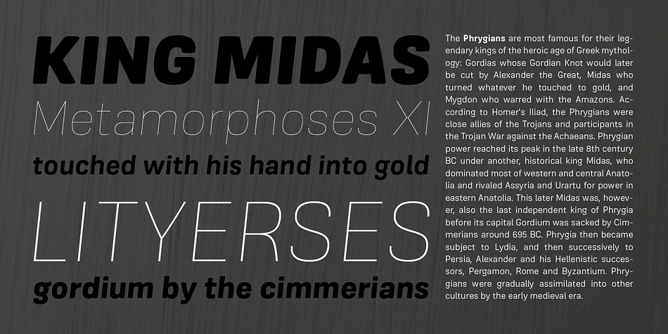 As an example, the construction of the lowercase g; the line structure which is slightly curved helps to aid the optical illusion and the integration of Industrial San Serif style making Frygia extremely compatible and ready for every usage on the layout.