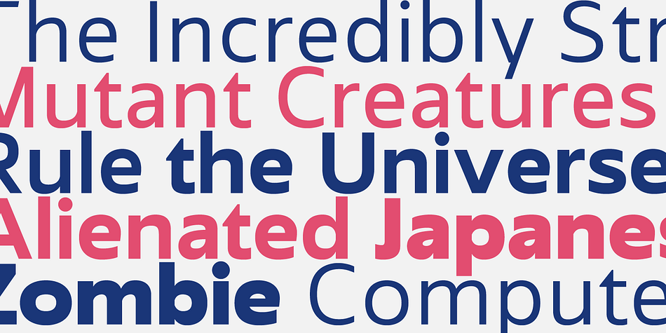 Emphasizing the popular Avram Sans font family.