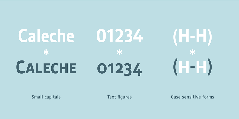 Highlighting the Gesta SemiCondensed font family.