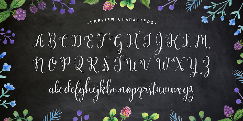 Mulberry Script Pro comes with four sets of alternates including ligatures.
