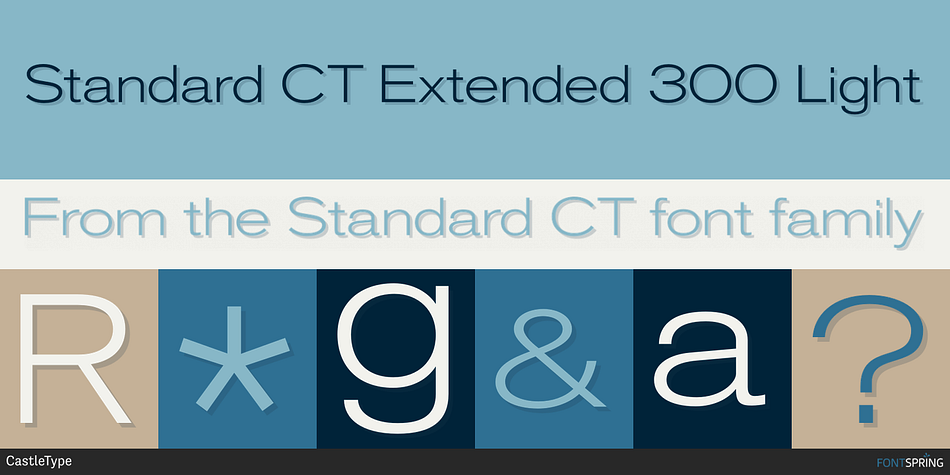 Standard CT Extended 300 Light