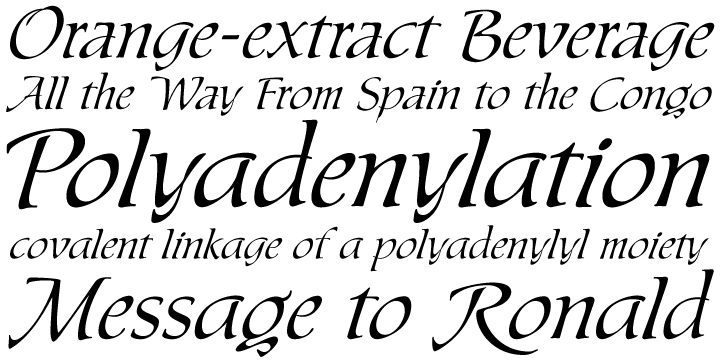 The Messenger package is comprised of two interchangeable fonts that support Western, Eastern and Central European languages, as well as Baltic, Celtic/Welsh and Esperanto.