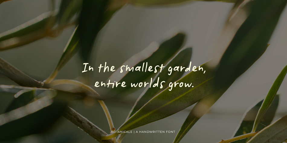 Botanicale Font