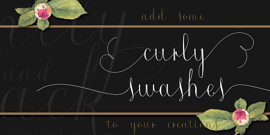 The design stems from Copperplate calligraphy and comes in two styles - upright and italic.