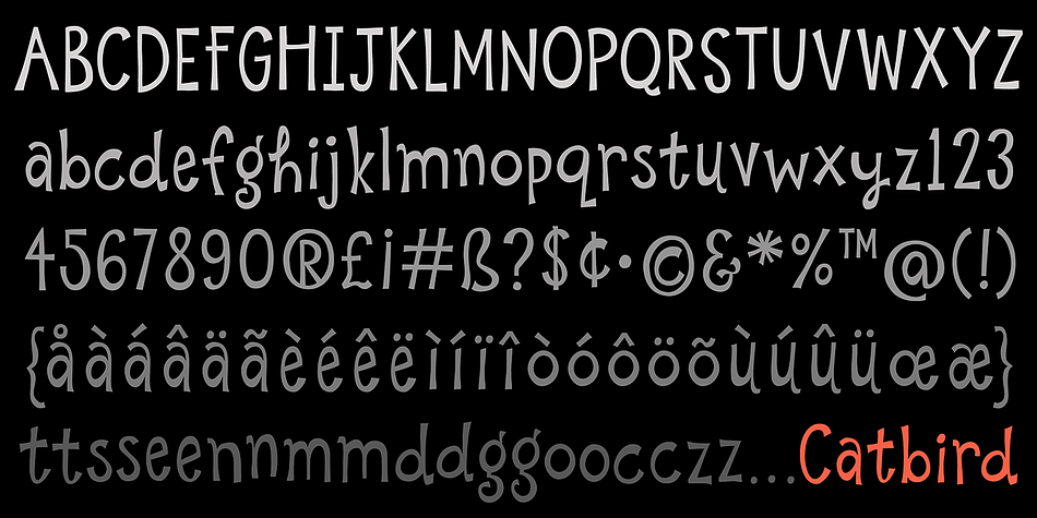Displaying the beauty and characteristics of the Catbird font family.