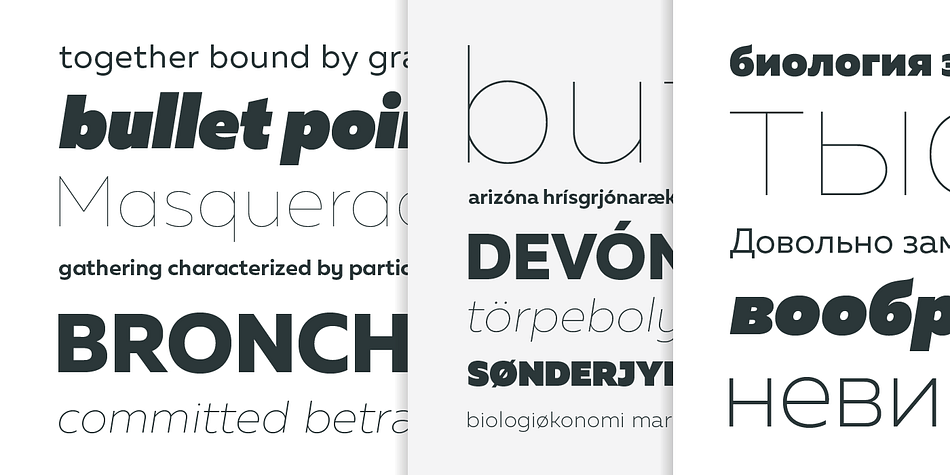 This font family is suited for everything, raging from advertising, packaging, editorial and branding, to web and screen projects.