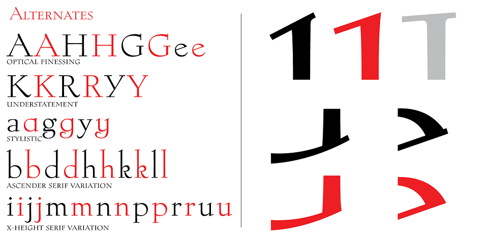 This Cotillion Pro set includes small caps, true italics, ligatures, seven types of figures, automatic fractions, extended Latin language support, stylistic alternates that include lowercase serif angle options, and plenty of extra OpenType features like caps-to-small-caps substitution, case-sensitive positioning, ordinals, and extended class-based kerning.