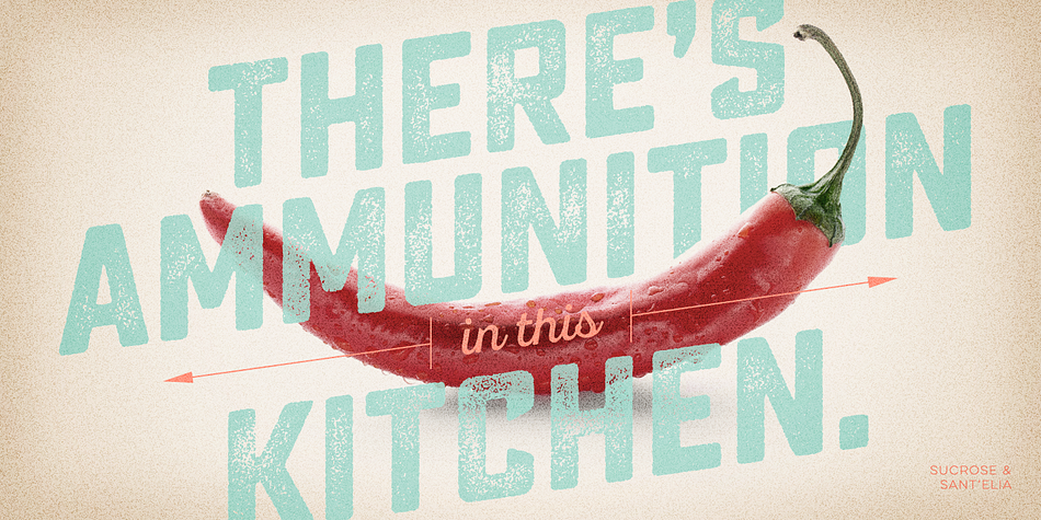 The 20-font family includes light and bold weights plus clean and slanted versions.