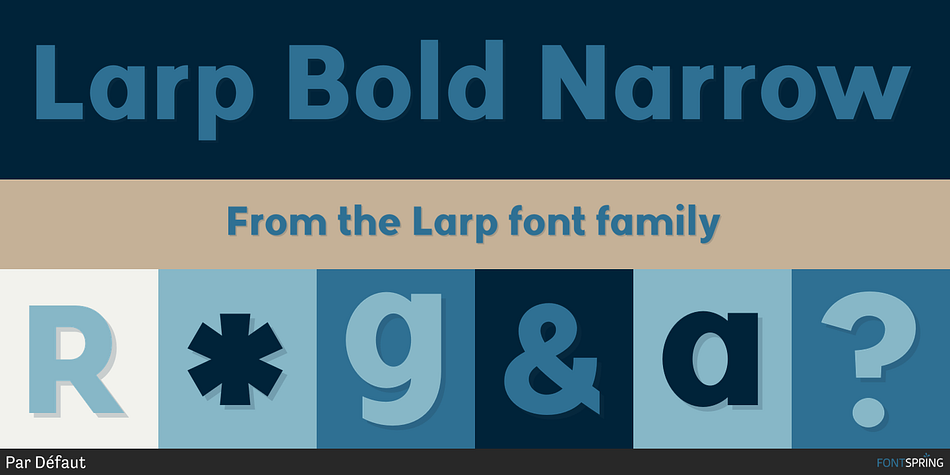 Larp Bold Narrow Font