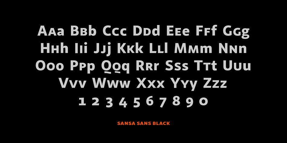 Displaying the beauty and characteristics of the Sana Sans font family.