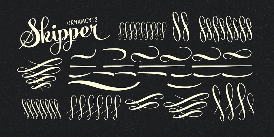 Highlighting the Skipper font family.