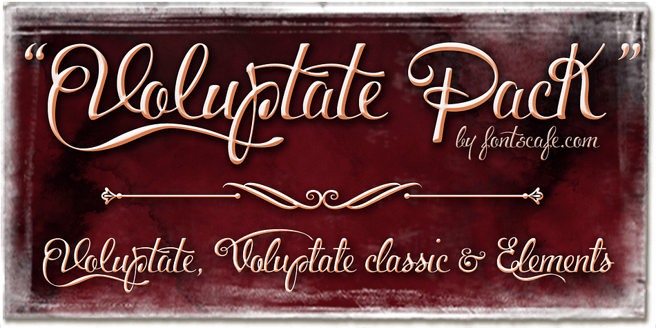 The ‘Voluptate Classic’ is very similar in design and ever so slightly informal in its appearance.