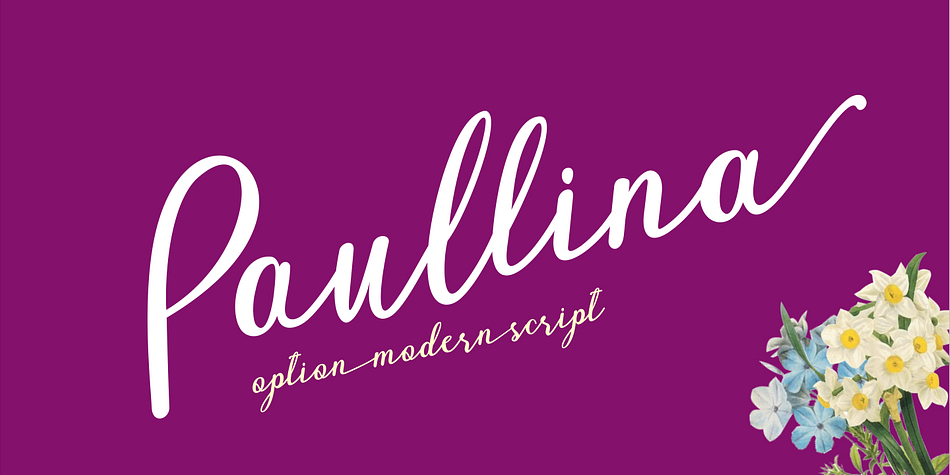 Paullina is the kind of modern script and font style that is simple with a variety of options.