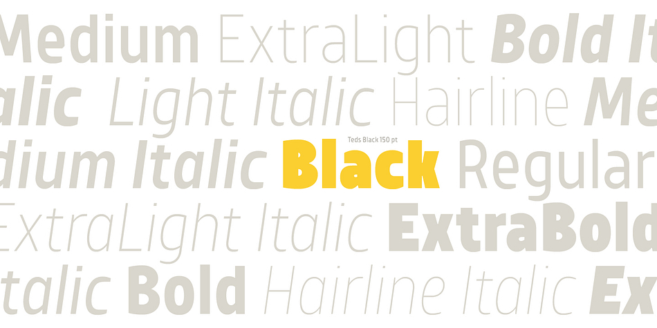 Highlighting the TT Teds font family.