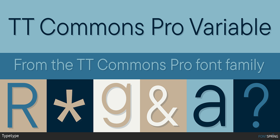 TT Commons Pro Variable Font