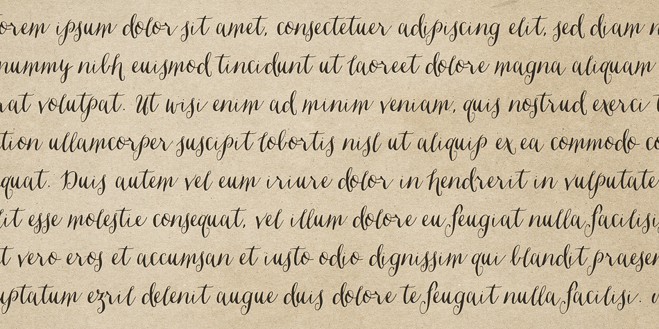 Displaying the beauty and characteristics of the Ondise font family.
